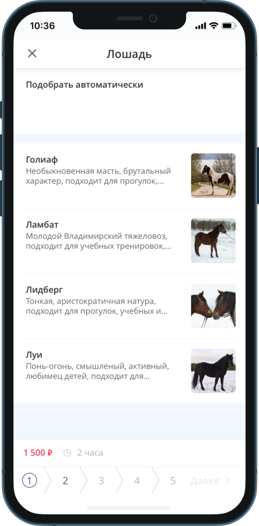 TORROW ЗАПИСЬ